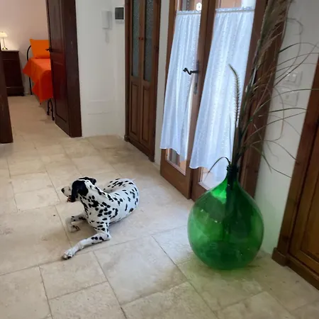 I Trulli E La Luna 阿尔贝罗贝洛